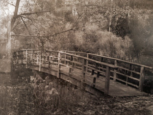 Photography by Pam Buccirosso